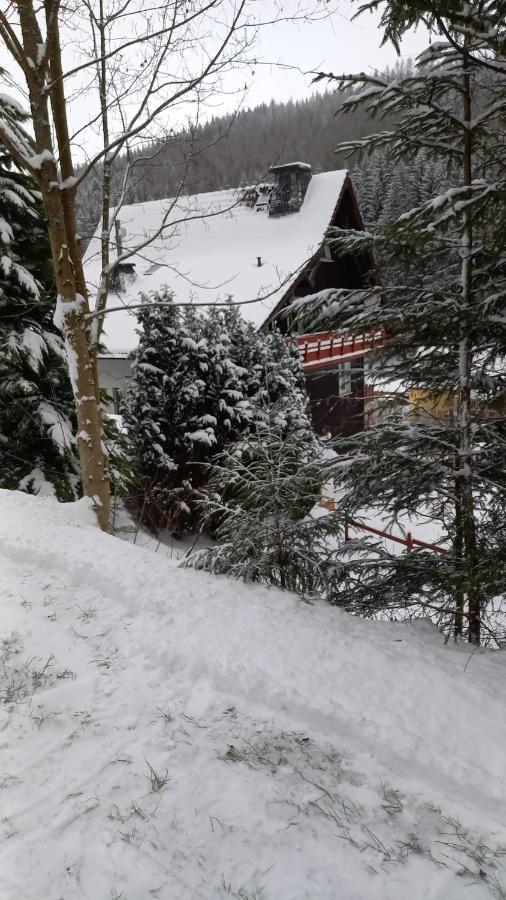 Monteurwohnung Aroba Fehrenbach Extérieur photo